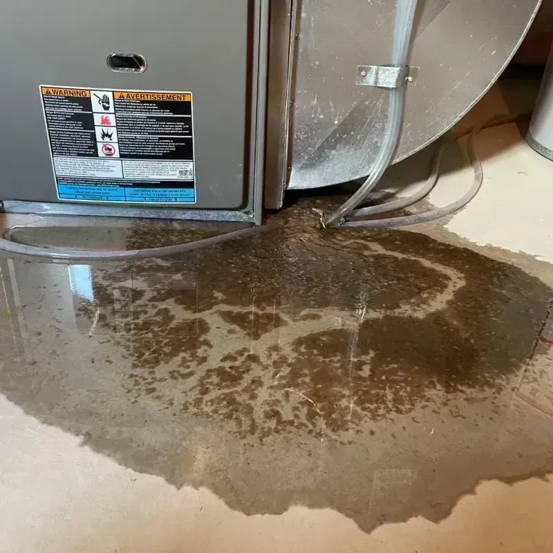 Appliance Leak Cleanup in Alton, IL